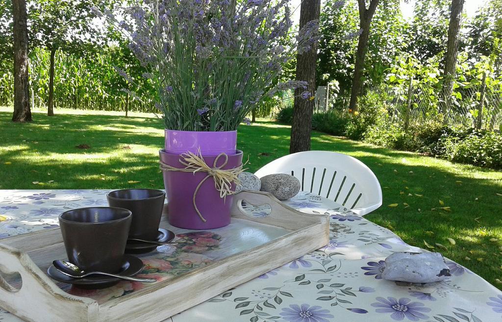 B&B Borgo Arcadia Poiana Maggiore Zewnętrze zdjęcie